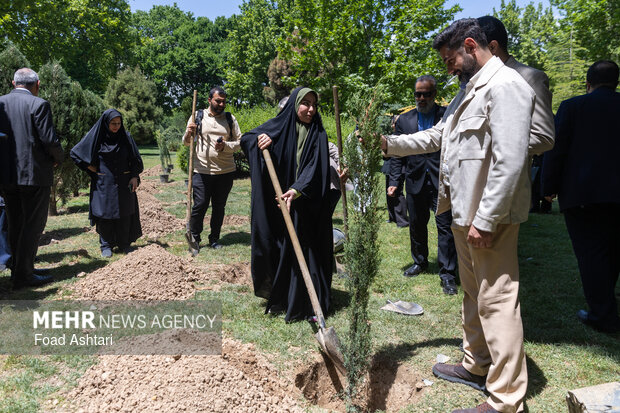 Planting seedlings in Laleh Parkland in Tehran
