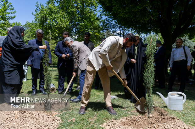 Planting seedlings in Laleh Parkland in Tehran
