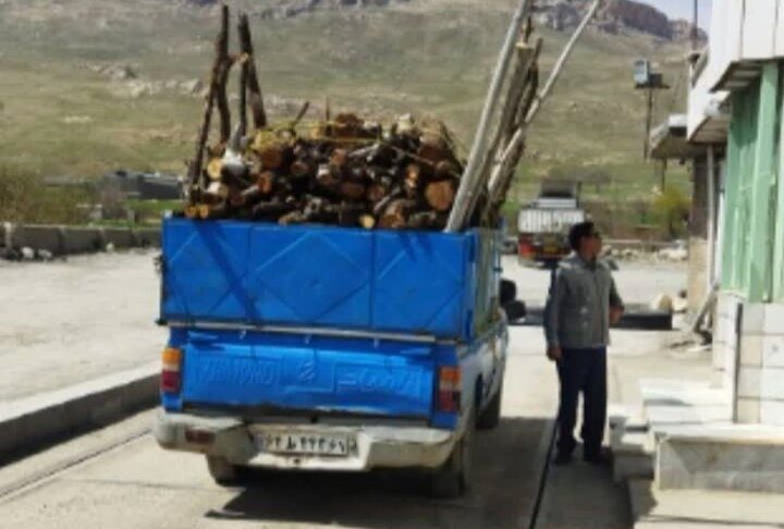 کشف ۱.۵ تن چوب قاچاق در بیجار؛ توقیف خودرو و معرفی متخلف به تعزیرات