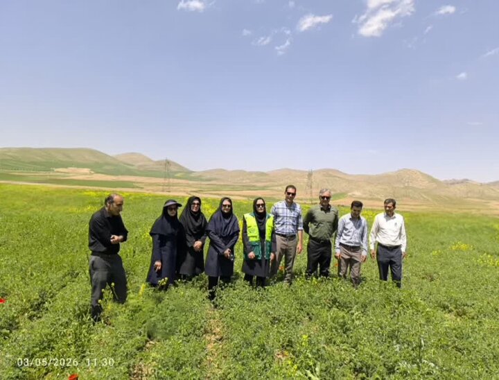 اجرای طرح «مزارع الگویی» در لرستان
