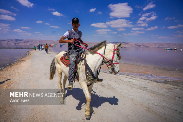 به مناسبت ۱۵ اردیبهشت، روز شیراز