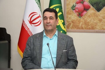 محلول‌پاشی راهکاری کمکی برای افزایش مقاومت درختان در برابر سرما