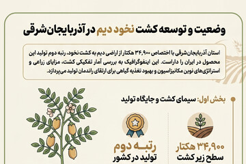 اینفوگرافیک؛ وضعیت و توسعه کشت نخود دیم در آذربایجان‌شرقی