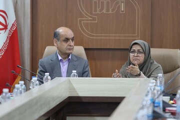 انصاری: ساختمان‌های جدید حتماً برچسب انرژی دریافت کنند