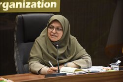 انصاری: خط قرمز سازمان استاندارد ایمنی مردم است