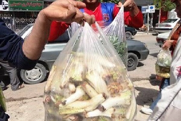 نفس مراتع زاگرس به شماره افتاد؛«بیلهر» و «بنسرخ» در معرض نابودی