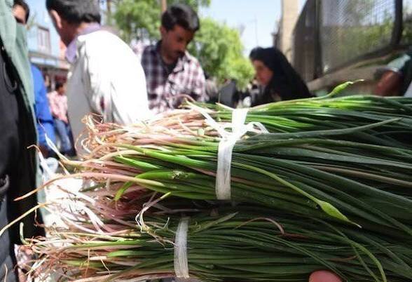 نفس مراتع زاگرس به شماره افتاد؛«بیلهر» و «بنسرخ» در معرض نابودی