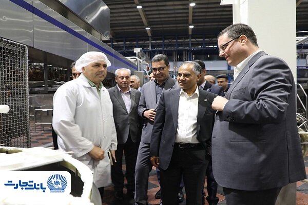 بانک تجارت حامی توسعه و افزایش توان تولیدی «دومینو»