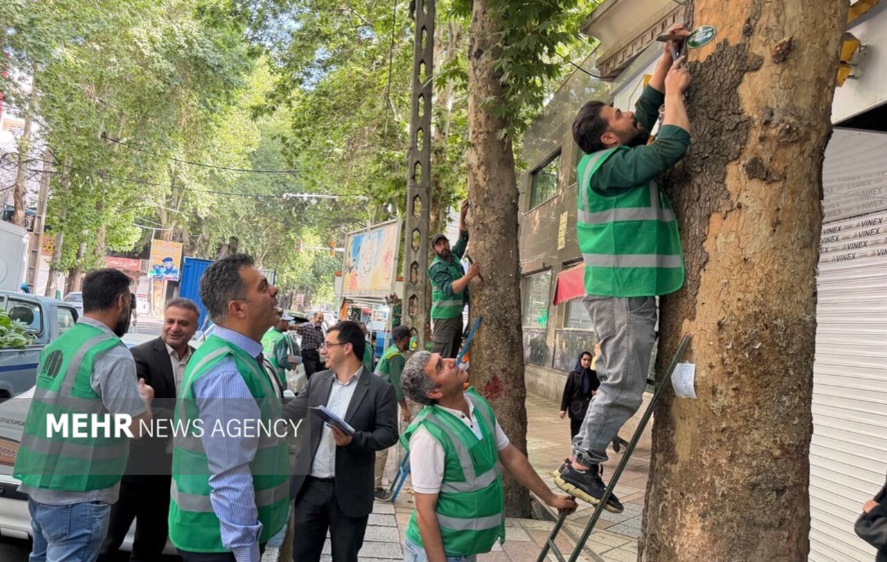 ۵۰ هزار اصله درخت در شهریار صاحب شناسنامه شدند