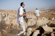 VIDEO: Israeli settlers chase Palestinian students in Jordan