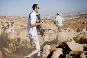 VIDEO: Israeli settlers chase Palestinian students in Jordan