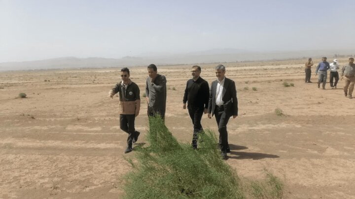 ارزیابی کانون‌های گردوغبار قم توسط مسئولان ملی و استانی