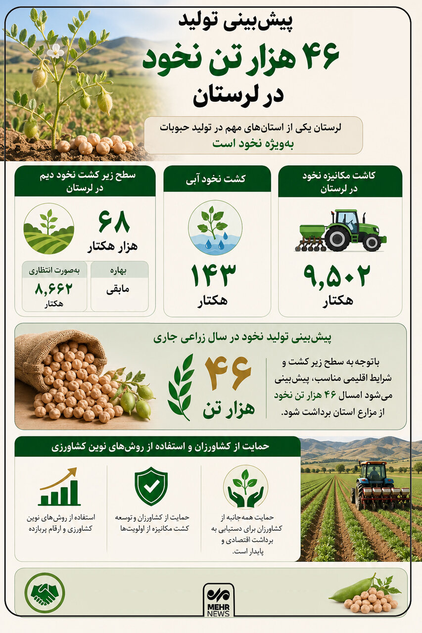 اینفوگرافیک؛ لرستان قطب تولید نخود ایران