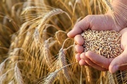 زەنگی قاتوقڕی لە جیهان لێدرا