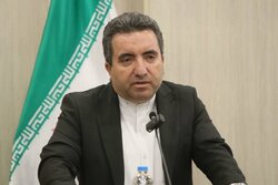 بابایی: اجرای کامل قانون الزام نیازمند ورود جدی مجلس است