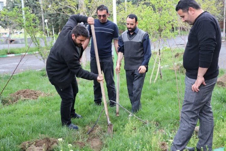 کاشت ۸۶ نهال میوه در جامعهالمصطفی تبریز به یاد قائد شهید