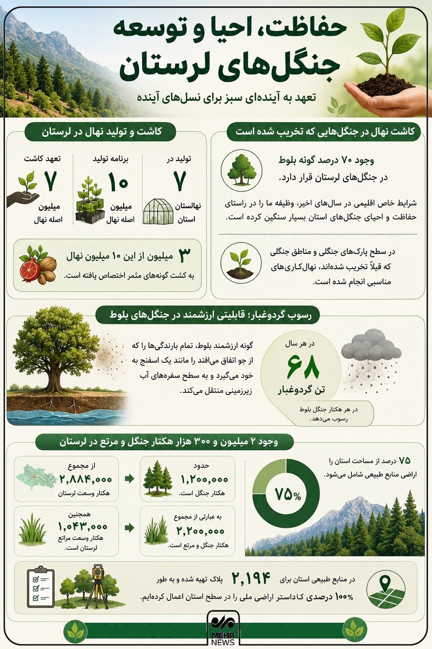 اینفوگرافیک؛ عملیات نجات جنگلهای زاگرس با تداوم نهالکاری