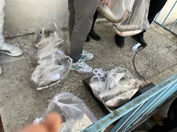 اجرای پویش «هر خانواده ایرانی، یک وعده ماهی» در لرستان