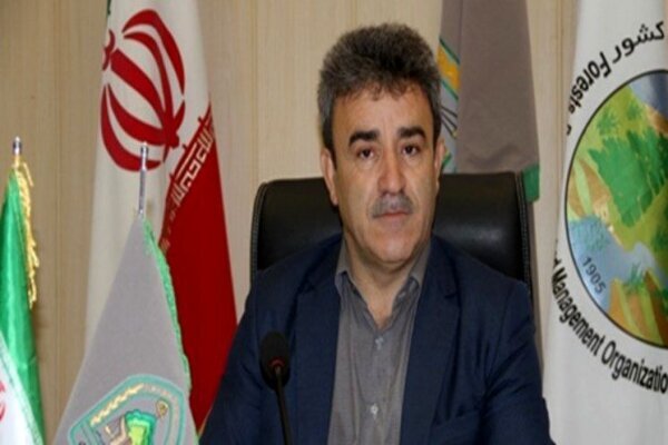 مشارکت گسترده مردم در ۹۰ پویش درختکاری اردبیل