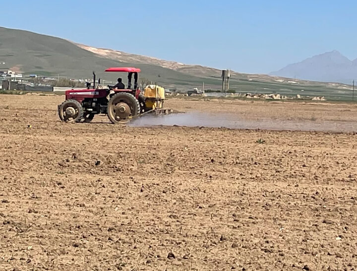 دانه‌های کوچک و رکورد بزرگ؛ مکانیزاسیون به مزارع نخود رسید