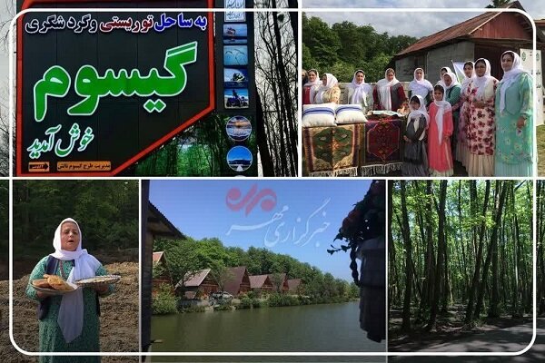 ابراهیمی: گیسوم تالش تلفیق طعمهای جنگل هیرکانی و دریای خزر است ابراهیمی: گیسوم تالش تلفیق طعمهای جنگل هیرکانی و دریای خزر است