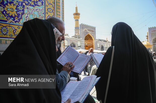 روز زیارتی حضرت رضا(ع)