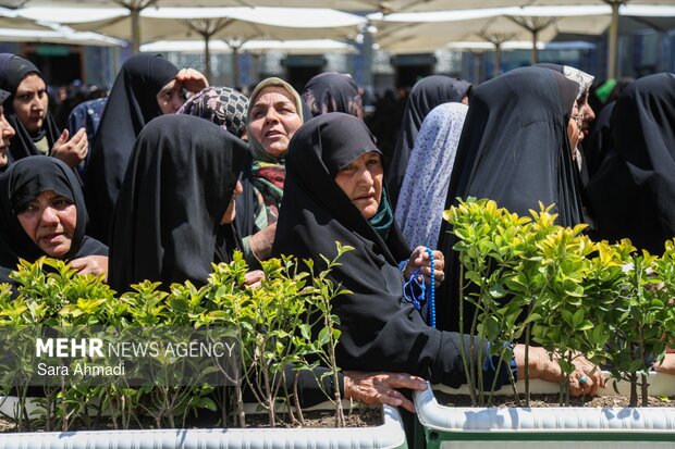 روز زیارتی حضرت رضا(ع)