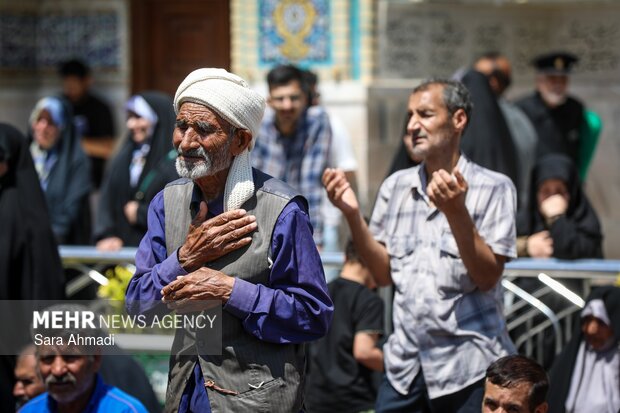 روز زیارتی حضرت رضا(ع)