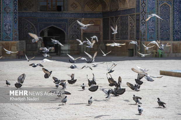 مسجدجامع عتیق اصفهان، شکوه معماری ایرانی
