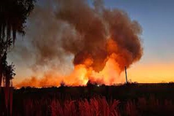 VIDEO: A fast-moving forest fire rips through Florida - Mehr News Agency