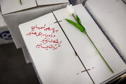 ایران همدل