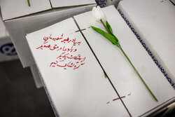 ایران همدل