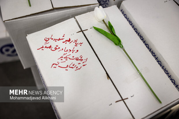 ایران همدل