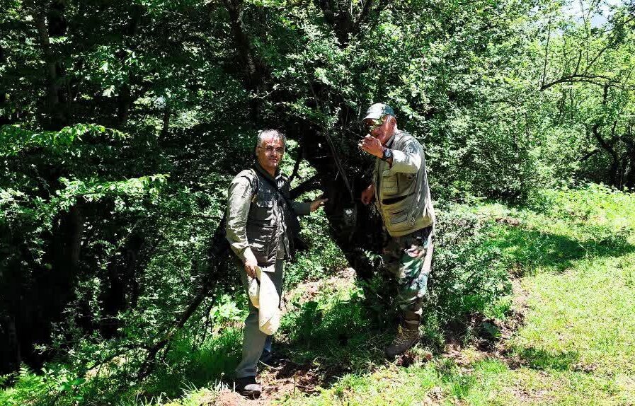 آغاز طرح شناسنامهدار کردن پلنگ ایرانی در جنگلهای هیرکانی گیلان آغاز طرح شناسنامهدار کردن پلنگ ایرانی در جنگلهای هیرکانی گیلان