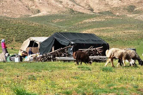 آبگیری ۱۰ حوض‌انبار در مسیر کوچ عشایر سیستان برای تأمین آب دام