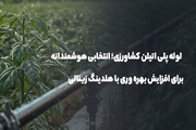 لوله پلی اتیلن کشاورزی؛ انتخابی برای افزایش بهره‌وری با هلدینگ زینالی