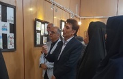 برپایی نمایشگاه نقاشی «۱۶۸ پروانه، پروانه دردانه» در نهاوند