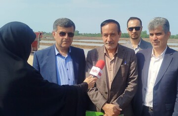 نیازی شهرکی: ۹۰ هزار هکتار اراضی شمالی آماده اجرای پروژه است