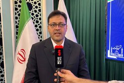 توکلی کجانی: هویت شمیرانات صیانت می‌شود