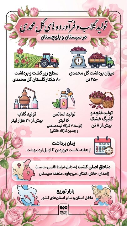 اینفوگرافیک؛ تولید گلاب و فراورده های گل محمدی در سیستان و بلوچستان