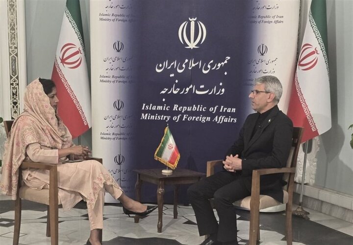 بقائي: امتلاك الطاقة النووية هو حق ايران مادامت عضو في معاهدة NPT..لن نستسلم ونرد بحزم على اى اعتداء