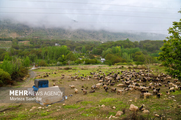طبیعت بهاری فلارد چهارمحال و بختیاری