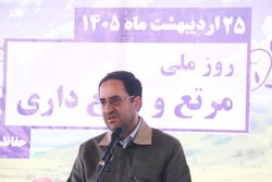لایحه اصلاح قانون معادن در حمایت مرتع‌داران روی میز مجلس است