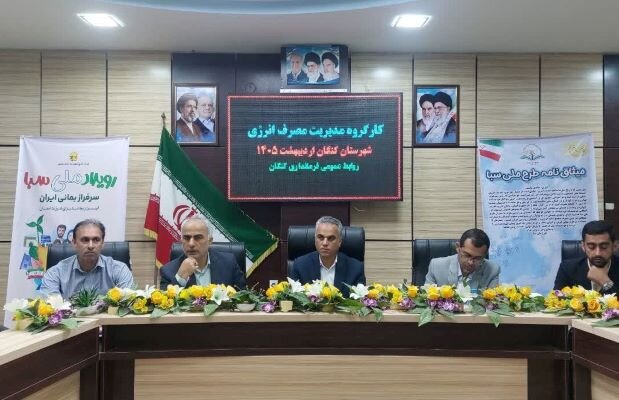فرماندار کنگان: مدیریت بهینه مصرف انرژی ضروری است