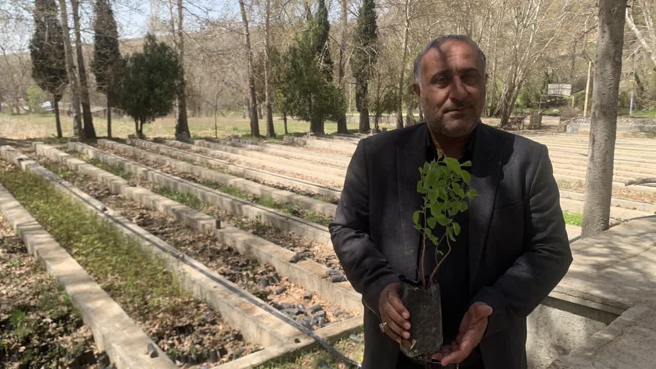 طبيعي،منابع،استان،كهگيلويه،بويراحمد،مراتع،اجراي،موسويان،آبخي ...