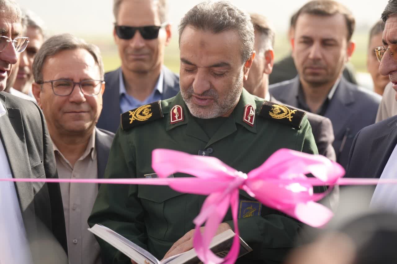 كارگاه،توليد،زيتون،سازندگي