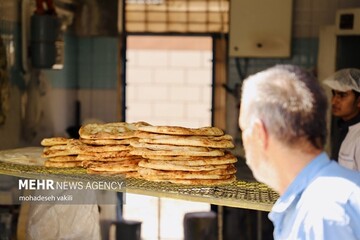 دوگانه سوز شدن ۵۶ درصد نانوایی‌های ساوجبلاغ