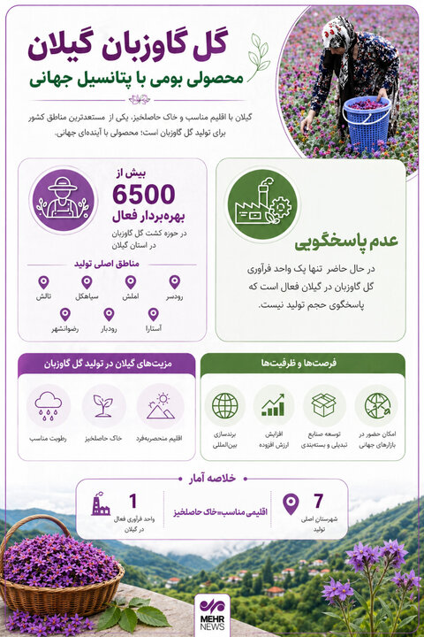 اینفوگرافیک؛ گل گاوزبان گیلان محصولی بومی با پتانسیل برندسازی جهانی