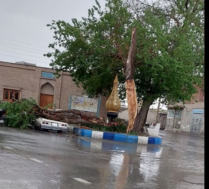 تندباد شدید در بناب خسارت به بار آورد