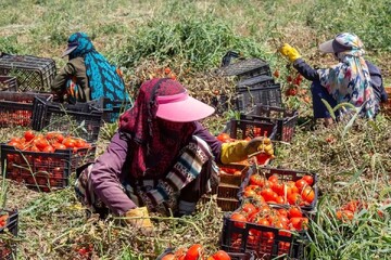 حمایت از زنان تسهیل‌گر روستایی در زهک